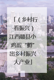 （乡村行·看振兴）江西赣县小鸡蛋“孵”出乡村振兴大产业
