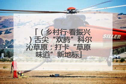 （乡村行·看振兴）舌尖“欢腾”科尔沁草原：打卡“草原味道”新地标