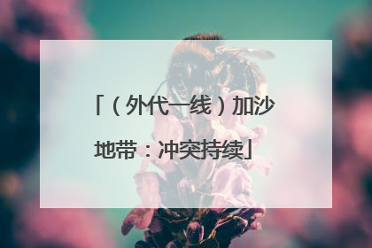 （外代一线）加沙地带：冲突持续