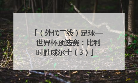 （外代二线）足球——世界杯预选赛：比利时胜威尔士（3）