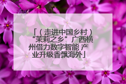 （走进中国乡村）“茉莉之乡”广西横州借力数字智能 产业升级香飘海外
