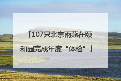 107只北京雨燕在颐和园完成年度“体检”