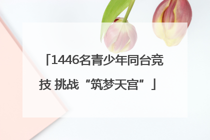 1446名青少年同台竞技 挑战“筑梦天宫”