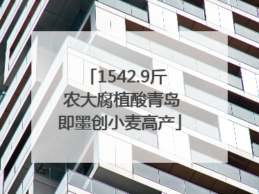 1542.9斤 农大腐植酸青岛即墨创小麦高产