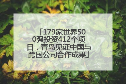 179家世界500强投资412个项目，青岛见证中国与跨国公司合作成果