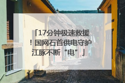 17分钟极速救援！国网石首供电守护江豚不断“电”