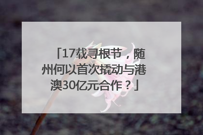 17载寻根节，随州何以首次撬动与港澳30亿元合作？