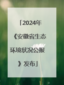 2024年《安徽省生态环境状况公报》发布