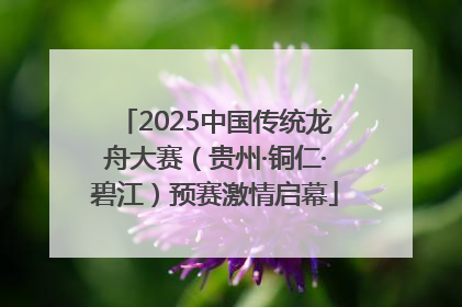 2025中国传统龙舟大赛（贵州·铜仁·碧江）预赛激情启幕
