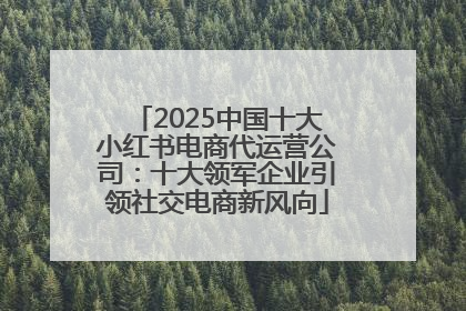 2025中国十大小红书电商代运营公司：十大领军企业引领社交电商新风向