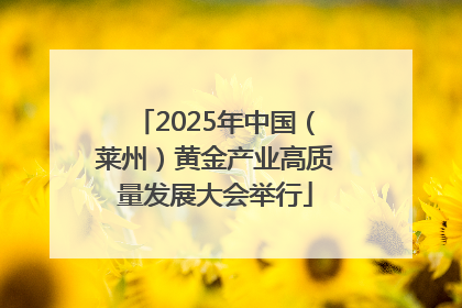 2025年中国（莱州）黄金产业高质量发展大会举行