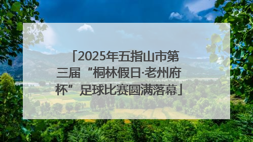 2025年五指山市第三届“桐林假日·老州府杯”足球比赛圆满落幕