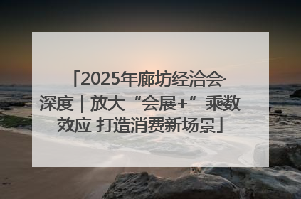2025年廊坊经洽会·深度｜放大“会展+”乘数效应 打造消费新场景