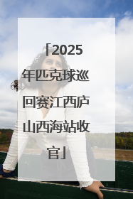 2025年匹克球巡回赛江西庐山西海站收官