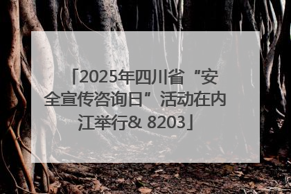2025年四川省“安全宣传咨询日”活动在内江举行& 8203