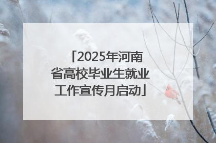 2025年河南省高校毕业生就业工作宣传月启动