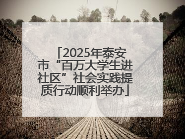 2025年泰安市“百万大学生进社区”社会实践提质行动顺利举办