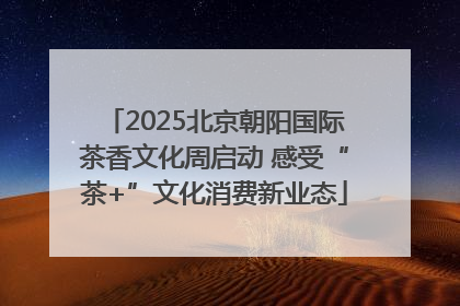 2025北京朝阳国际茶香文化周启动 感受“茶+”文化消费新业态