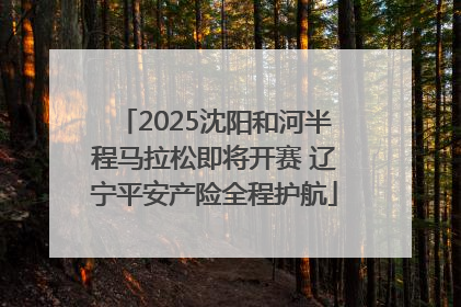2025沈阳和河半程马拉松即将开赛 辽宁平安产险全程护航