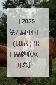2025第九届中国（印尼）出口品牌联展开幕