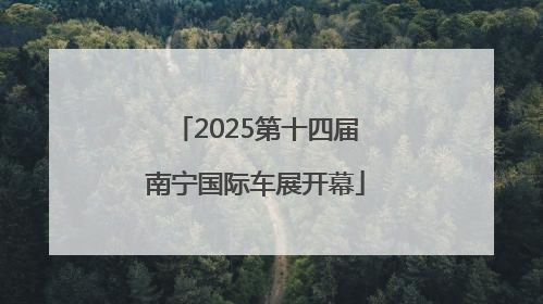 2025第十四届南宁国际车展开幕