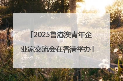 2025鲁港澳青年企业家交流会在香港举办