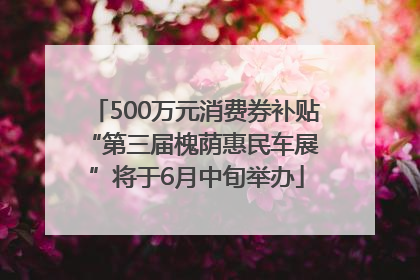 500万元消费券补贴 “第三届槐荫惠民车展”将于6月中旬举办