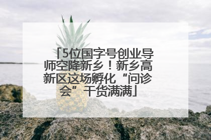 5位国字号创业导师空降新乡！新乡高新区这场孵化“问诊会”干货满满