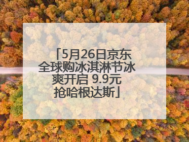 5月26日京东全球购冰淇淋节冰爽开启 9.9元抢哈根达斯