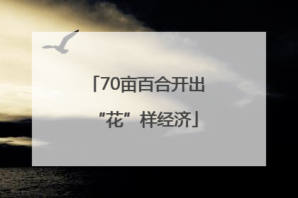 70亩百合开出“花”样经济