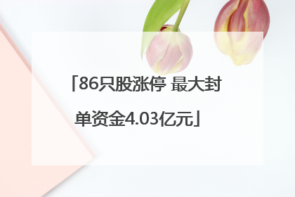 86只股涨停 最大封单资金4.03亿元