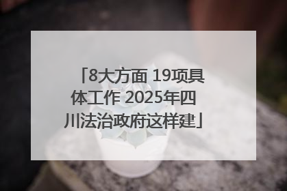 8大方面 19项具体工作 2025年四川法治政府这样建