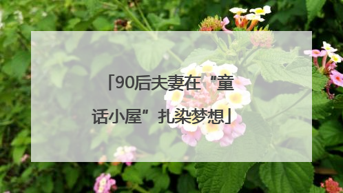 90后夫妻在“童话小屋”扎染梦想