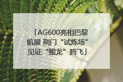 AG600亮相巴黎航展 荆门“试炼场”见证“鲲龙”腾飞
