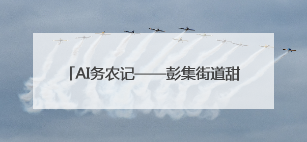 AI务农记——彭集街道甜瓜种植迎来“智慧丰收”