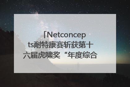 Netconcepts耐特康赛斩获第十六届虎啸奖“年度综合服务商”大奖