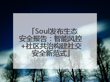 Soul发布生态安全报告：智能风控+社区共治构建社交安全新范式